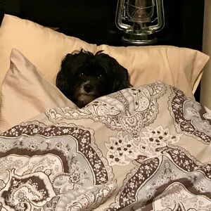 Meet your Posher, Kathleen